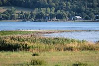 Bild: Abendstimmung am Stausee Kelbra