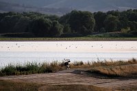 Bild: Abendstimmung am Stausee Kelbra