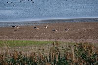 Bild: Abendstimmung am Stausee Kelbra