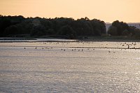 Bild: Abendstimmung am Stausee Kelbra