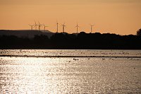 Bild: Abendstimmung am Stausee Kelbra