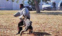 Bild: Tag der offenen T&uuml;r bei der Landespolizeiinspektion in Nordhausen