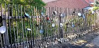 Bild: Herbstausflug der Herzsportler