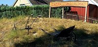 Bild: Herbstausflug der Herzsportler