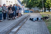 Bild: Ehrenamtsgala des KSB im Hue de Grais