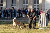 Bild: Ehrenamtsgala des KSB im Hue de Grais