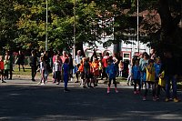 Bild: Herbstcrosslauf im Gehege