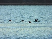 Bild: Traumwetter am Stausee
