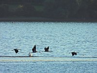 Bild: Traumwetter am Stausee