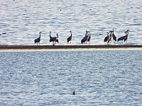 Bild: Traumwetter am Stausee