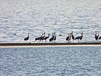 Bild: Traumwetter am Stausee