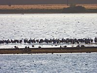 Bild: Traumwetter am Stausee