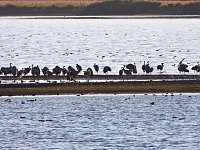 Bild: Traumwetter am Stausee