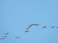 Bild: Traumwetter am Stausee