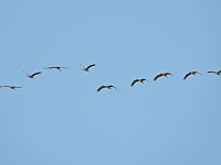 Bild: Traumwetter am Stausee
