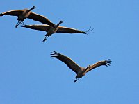 Bild: Traumwetter am Stausee