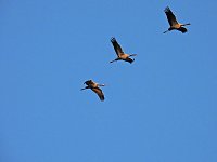 Bild: Traumwetter am Stausee