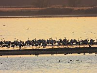 Bild: Traumwetter am Stausee