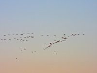 Bild: Traumwetter am Stausee
