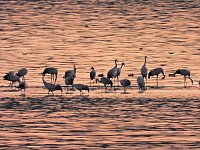 Bild: Traumwetter am Stausee