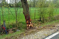 Bild: Horrorcrash