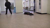 Bild: Einsatz nach Amoklauf