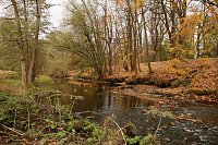 Bild: Wo ist all das Wasser hin? - Trockenheit und Niedrigwasser haben das Jahr bestimmt