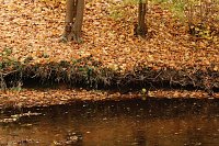 Bild: Wo ist all das Wasser hin? - Trockenheit und Niedrigwasser haben das Jahr bestimmt