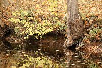 Bild: Wo ist all das Wasser hin? - Trockenheit und Niedrigwasser haben das Jahr bestimmt