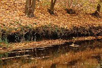 Bild: Wo ist all das Wasser hin? - Trockenheit und Niedrigwasser haben das Jahr bestimmt