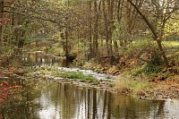 Bild: Wo ist all das Wasser hin? - Trockenheit und Niedrigwasser haben das Jahr bestimmt
