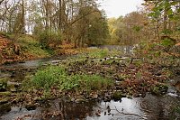 Bild: Wo ist all das Wasser hin? - Trockenheit und Niedrigwasser haben das Jahr bestimmt