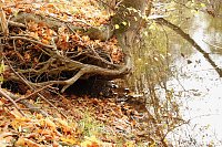 Bild: Wo ist all das Wasser hin? - Trockenheit und Niedrigwasser haben das Jahr bestimmt