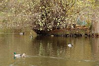 Bild: Wo ist all das Wasser hin? - Trockenheit und Niedrigwasser haben das Jahr bestimmt