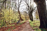 Bild: Wo ist all das Wasser hin? - Trockenheit und Niedrigwasser haben das Jahr bestimmt