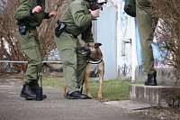 Einsatzübung Bild: Einsatzübung