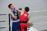 Bild: Wettk&auml;mpfe im Becken und im Boxring
