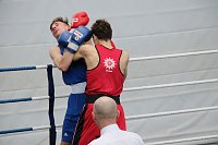 Bild: Wettk&auml;mpfe im Becken und im Boxring