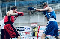 Bild: Wettk&auml;mpfe im Becken und im Boxring