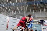 Bild: Wettk&auml;mpfe im Becken und im Boxring