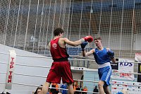 Bild: Wettk&auml;mpfe im Becken und im Boxring