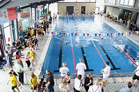 Bild: Wettk&auml;mpfe im Becken und im Boxring