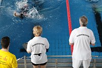 Bild: Wettk&auml;mpfe im Becken und im Boxring