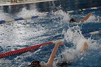 Bild: Wettk&auml;mpfe im Becken und im Boxring