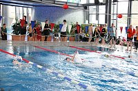 Bild: Wettk&auml;mpfe im Becken und im Boxring