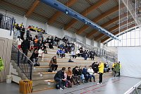 Bild: Wettk&auml;mpfe im Becken und im Boxring