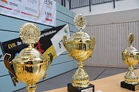 Bild: Wettk&auml;mpfe im Becken und im Boxring