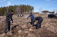 Bild: Baumzeit am Josephskreuz