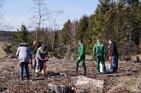 Bild: Baumzeit am Josephskreuz