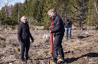 Bild: Baumzeit am Josephskreuz